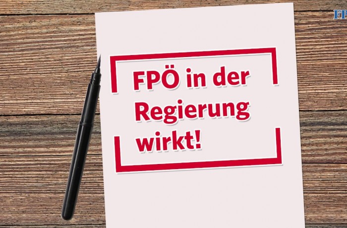 Ein Jahr FPÖ in der Regierung: Eine Bilanz der Nationalräte