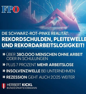 Was wir dringend brauchen, sind Arbeitsplätze für Österreicher - nicht eine endlose Zuwanderung in die Arbeitslosigkeit
