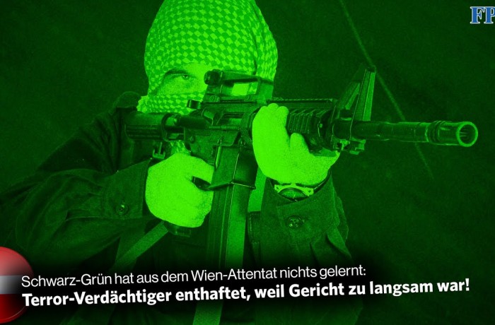 Schwarz-Grün hat aus dem Wien-Attentat nichts gelernt: Terror-Verdächtiger enthaftet!